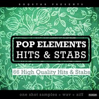 Roqstar Pop Elements Hits & Stabs